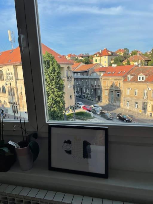 Apartmán Spacious 3br/2bt With A/c In Center Záhřeb