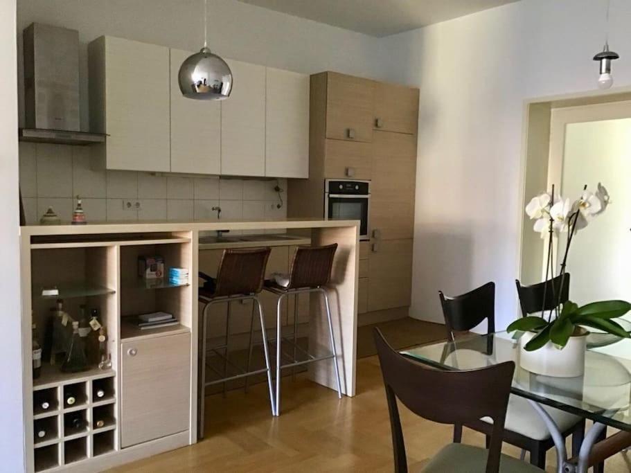 Spacious 3br/2bt With A/c In Center * Zagreb